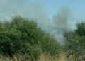 Arde un vehículo eléctrico transportado en un camión en la AP-7 y provoca un incendio forestal en Estepona