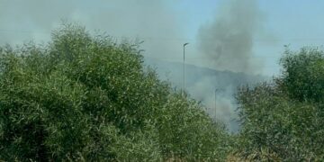Arde  un vehículo eléctrico transportado en un camión en la AP-7 y provoca un incendio forestal en Estepona