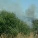 Arde  un vehículo eléctrico transportado en un camión en la AP-7 y provoca un incendio forestal en Estepona