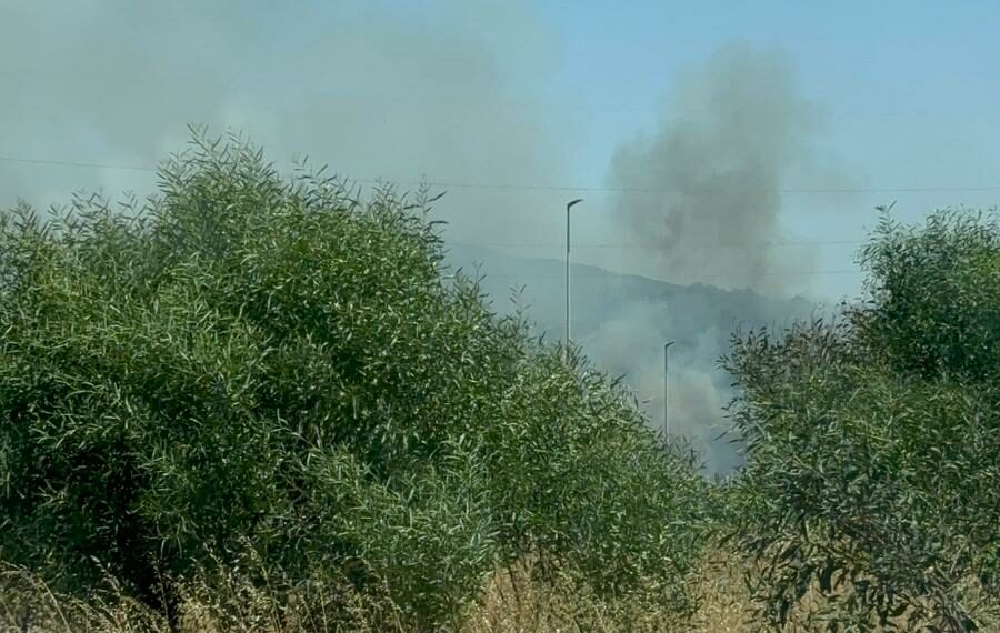 Arde un vehículo eléctrico transportado en un camión en la AP-7 y provoca un incendio forestal en Estepona