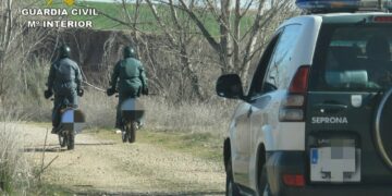 Detenidos por robar polluelos de azor y gavilán de nidos en entornos forestales para comercio ilícito