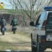 Detenidos por robar polluelos de azor y gavilán de nidos en entornos forestales para comercio ilícito