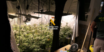 La Guardia Civil desmantela un laboratorio clandestino de cannabis en Torrox