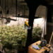 La Guardia Civil desmantela un laboratorio clandestino de cannabis en Torrox