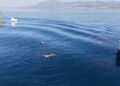 Rescatados dos pescadores en Marbella que se vieron arrastrados por la corriente en alta mar
