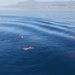 Rescatados dos pescadores en Marbella que se vieron arrastrados por la corriente en alta mar