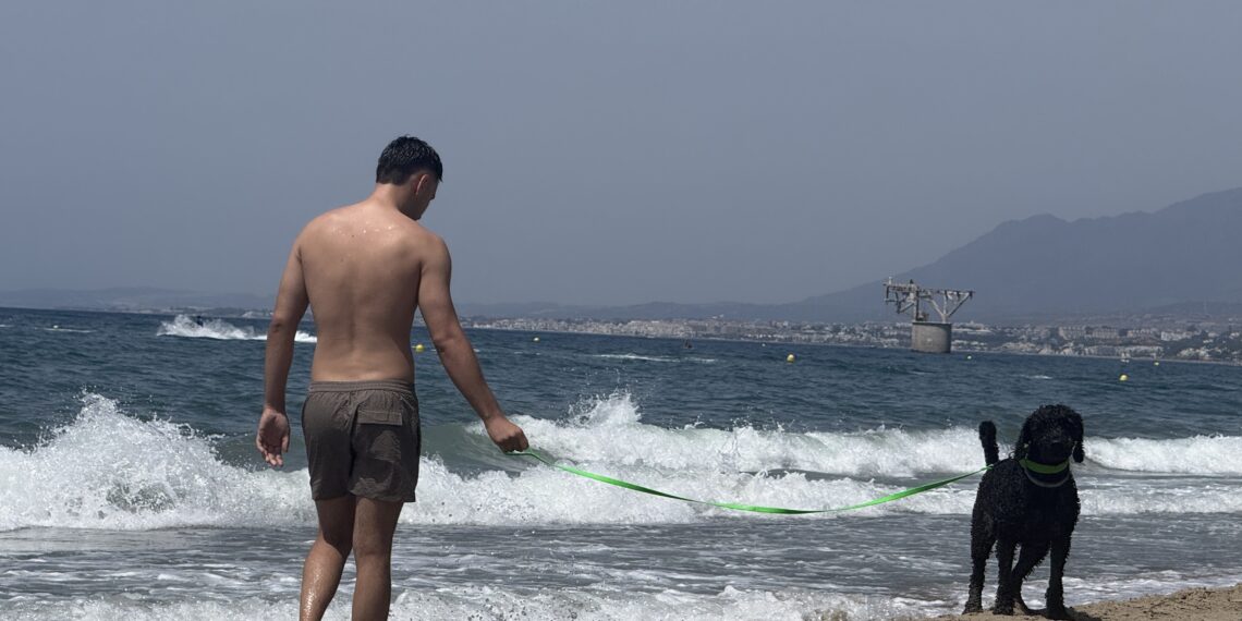 Marbella mantiene espacios habilitados para disfrutar de la playa con mascotas durante la temporada de baño