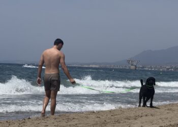 Marbella mantiene espacios habilitados para disfrutar de la playa con mascotas durante la temporada de baño