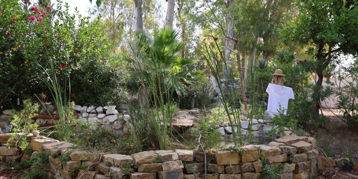La Noria de Diputación recrea un refugio bioclimático acuapónico en sus jardines