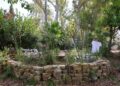 La Noria de Diputación recrea un refugio bioclimático acuapónico en sus jardines
