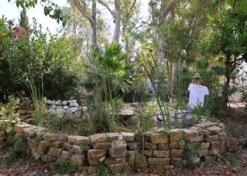 La Noria de Diputación recrea un refugio bioclimático acuapónico en sus jardines