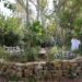 La Noria de Diputación recrea un refugio bioclimático acuapónico en sus jardines