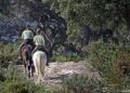 Andalucía impulsa la mayor modernización de su legislación ambiental del siglo XXI