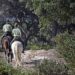 Andalucía impulsa la mayor modernización de su legislación ambiental del siglo XXI