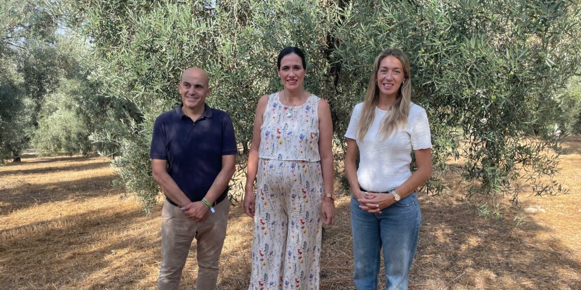La Junta impulsa el relevo generacional en el campo malagueño con 5,3 millones de euros para incorporar a 104 jóvenes