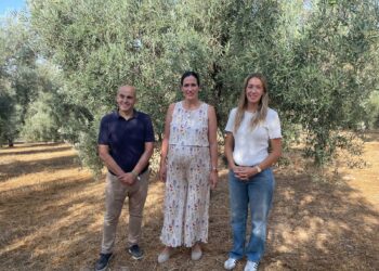 La Junta impulsa el relevo generacional en el campo malagueño con 5,3 millones de euros para incorporar a 104 jóvenes