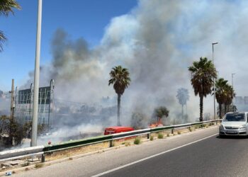 Un incendio en Estepona provoca el alejamiento preventivo de 70 personas y un corte de carril en la A-7
