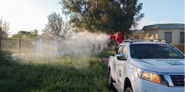 Málaga refuerza la vigilancia ante la detección del virus del Nilo en mosquitos