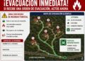 Borrador automático