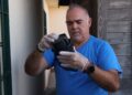 Mijas continúa con los trabajos de control de los mosquitos que pueden transmitir el virus del Nilo a cuatro días del final de la alerta