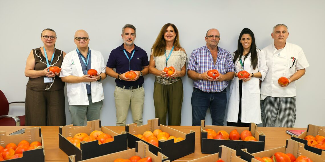 El Regional de Málaga ofrece una degustación de tomate Huevo de Toro a más de 600 pacientes