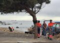 Ceuta renueva el dispositivo de limpieza en la Playa del Trampolín después del parón por seguridad