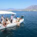 Marbella participa en la suelta al mar de dos tortugas bobas tras completar su recuperación