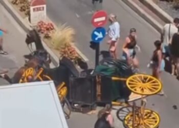 Susto con un coche de caballos en Fuengirola: hay dos conductoras heridas
