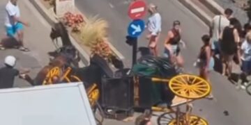 Susto con un coche de caballos en Fuengirola: hay dos conductoras heridas