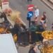 Susto con un coche de caballos en Fuengirola: hay dos conductoras heridas