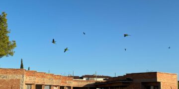 Torremolinos licita la demolición de los edificios sin uso del Virgen de la Esperanza para impulsar su futura manzana social