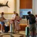 Torremolinos vuelve a liderar en julio las pernoctaciones en Andalucía