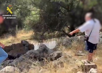 El detenido por el crimen de Coín confiesa que mató a la víctima y que escondió sus restos en Alhaurín de la Torre