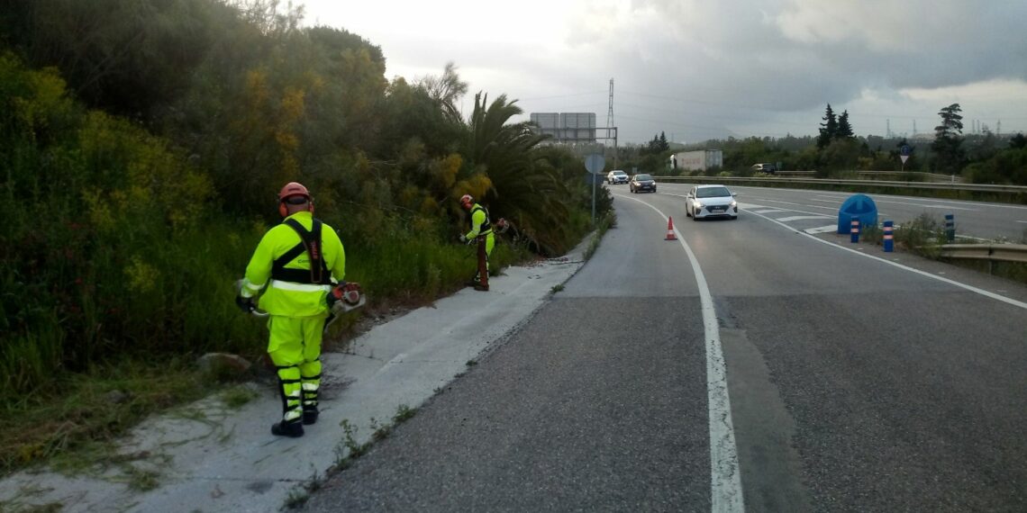 La Junta licita por 22 millones el contrato para el control de la vegetación en las carreteras andaluzas