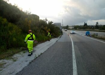 La Junta licita por 22 millones el contrato para el control de la vegetación en las carreteras andaluzas