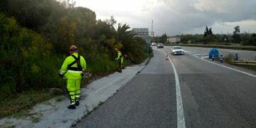 La Junta licita por 22 millones el contrato para el control de la vegetación en las carreteras andaluzas