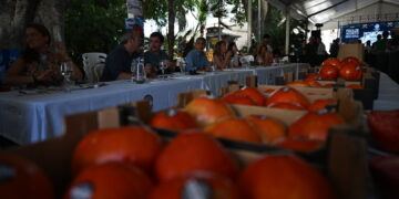 La Diputación impulsa un año más la tradicional subasta del tomate Huevo de Toro en Coín