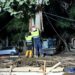 La Prolongación del Metro de Málaga culmina el trasplante del ficus singular en su nueva ubicación