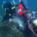 La Junta instala 25 fondeos ecológicos para el amarre de barcos de buceo en Granada y Málaga