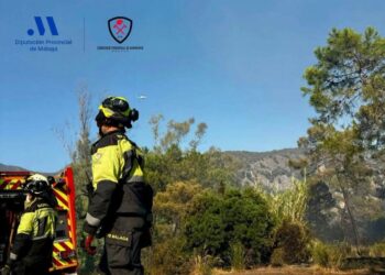 Extinguido el incendio forestal de Benahavís tras más de una semana de intenso trabajo