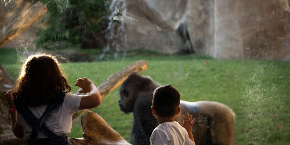 BIOPARC Fuengirola abre sus puertas al nuevo curso y convierte la naturaleza en el aula de miles de escolares