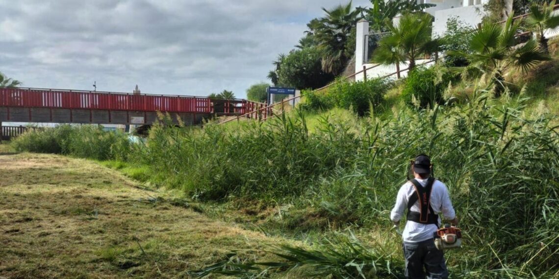 Mijas despeja la vegetación de los arroyos y desembocaduras al mar antes del inicio de la época de lluvias