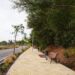 Finalizadas las obras que han dotado de 2,3 kilómetros de acerado a la carretera de Benahavís en el tramo urbano de Estepona