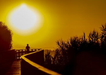 El Maratón de Estepona Jardín de la Costa del Sol inicia su cuenta atrás