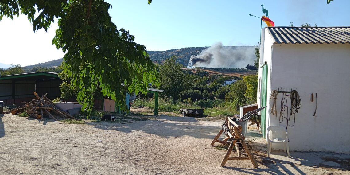 Un incendio forestal queda extinguido en el paraje ‘Los Frontones’ de Ronda en dos horas