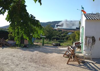 Un incendio forestal queda extinguido en el paraje ‘Los Frontones’ de Ronda en dos horas