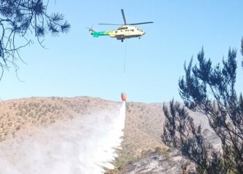 Unas 90 personas trabajan para el control del incendio en Benahavís, ya estabilizado