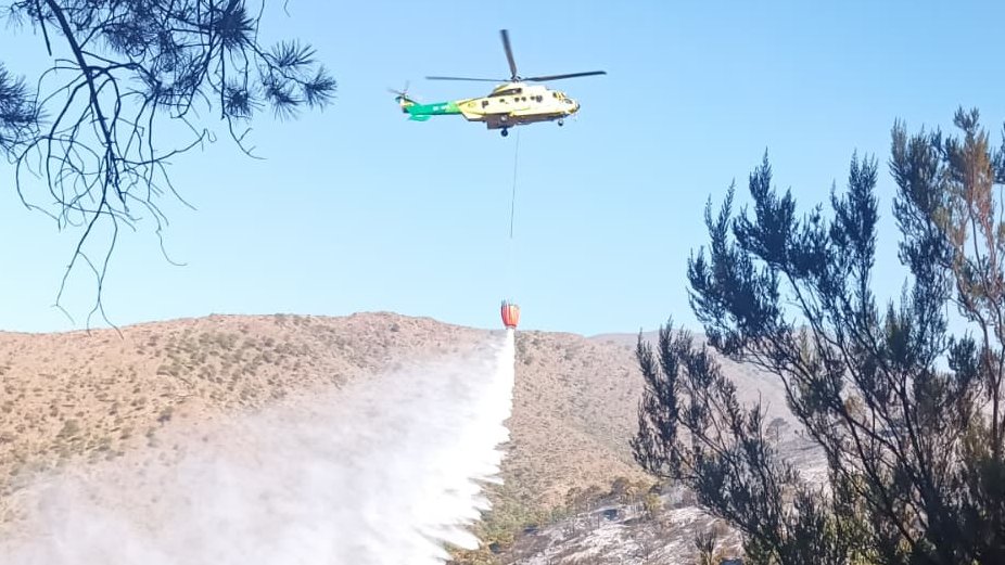 Unas 90 personas trabajan para el control del incendio en Benahavís, ya estabilizado