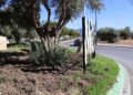 Mijas ha gastado ya este año 210.000 euros en arreglos, replantaciones y mano de obra en los jardines destrozados por los jabalíes