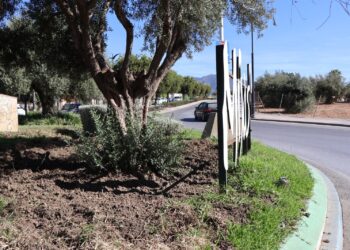 Mijas ha gastado ya este año 210.000 euros en arreglos, replantaciones y mano de obra en los jardines destrozados por los jabalíes